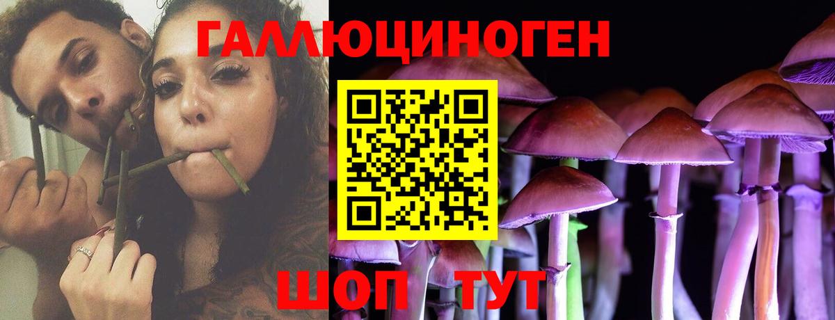 Татарск  Галлюциногенные грибы Cubensis  Вход с VPN 